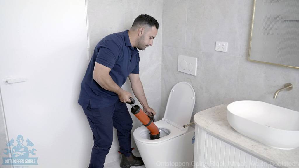 Toilet Verstopt Goirle